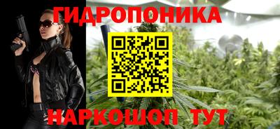 гидра Будённовск